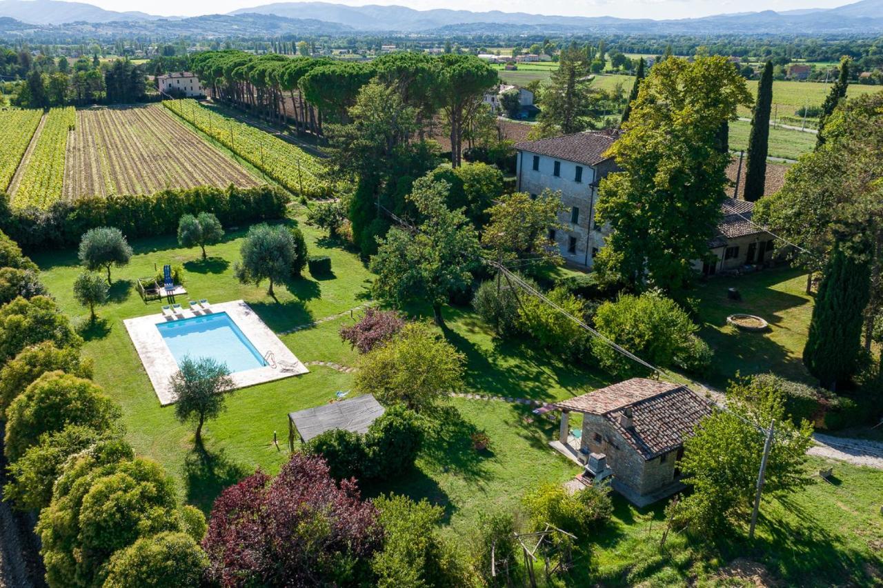 Villa Lama By Mmega Kültér fotó